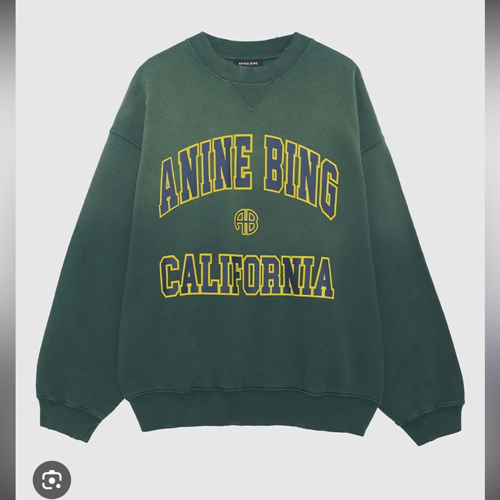 ISO: Anine Bing Faded Green California Sweatshirt